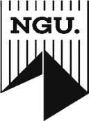 NewGiza University